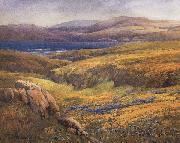 unknow artist Point Lobos in the Springtime china oil painting reproduction